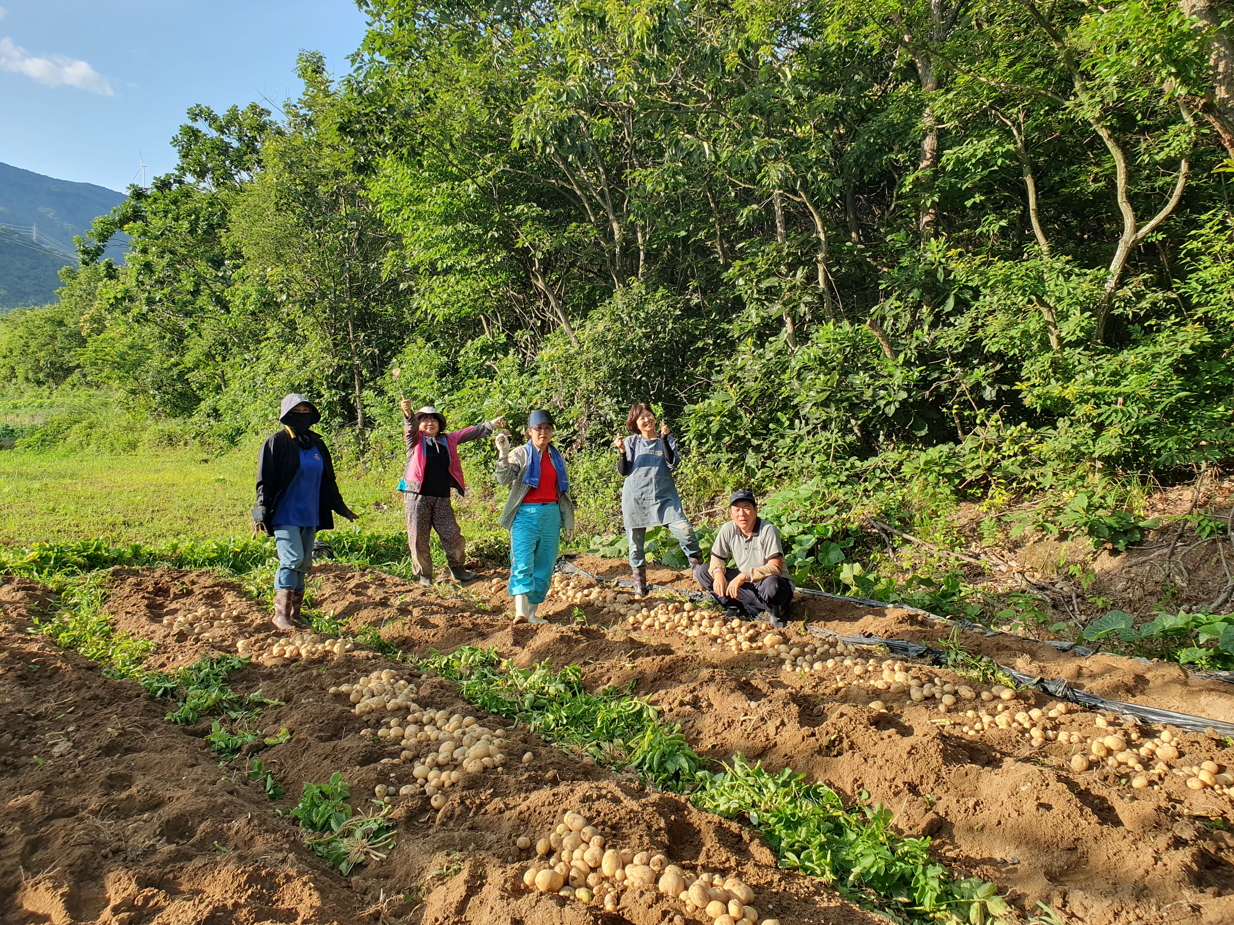 힐링존 활동 사진 2