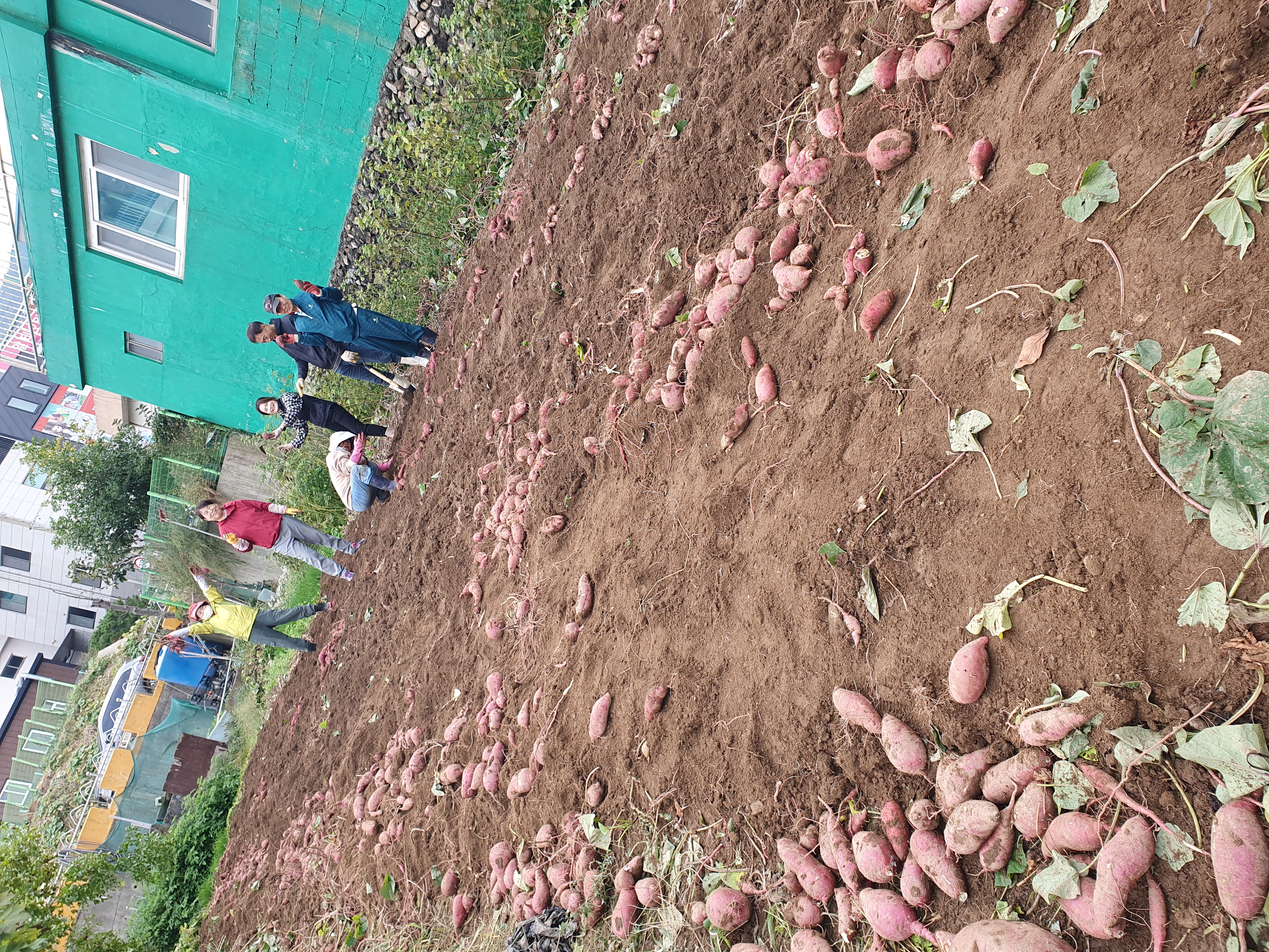 힐링존 활동 사진 3