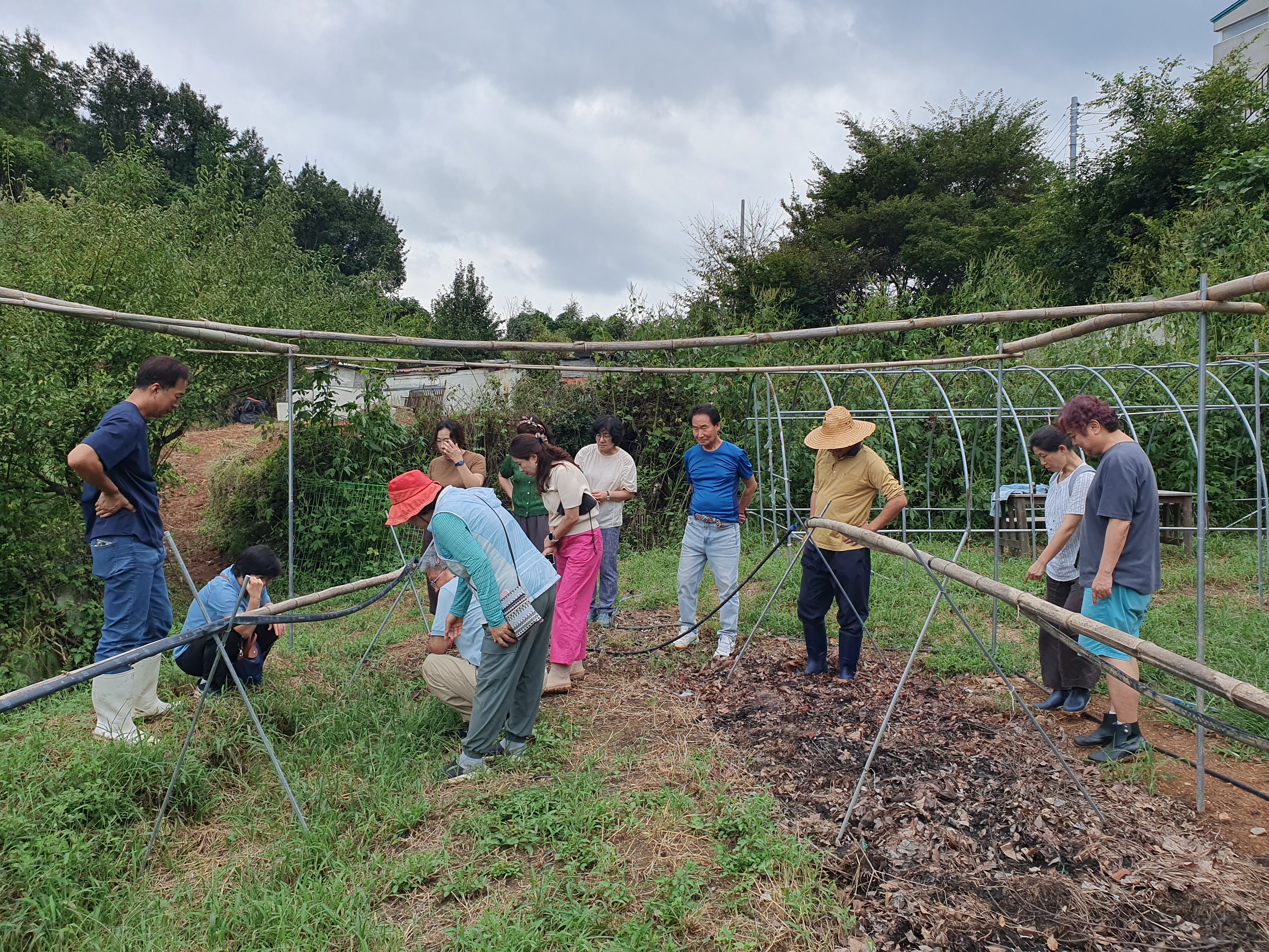 힐링존 활동 사진 4