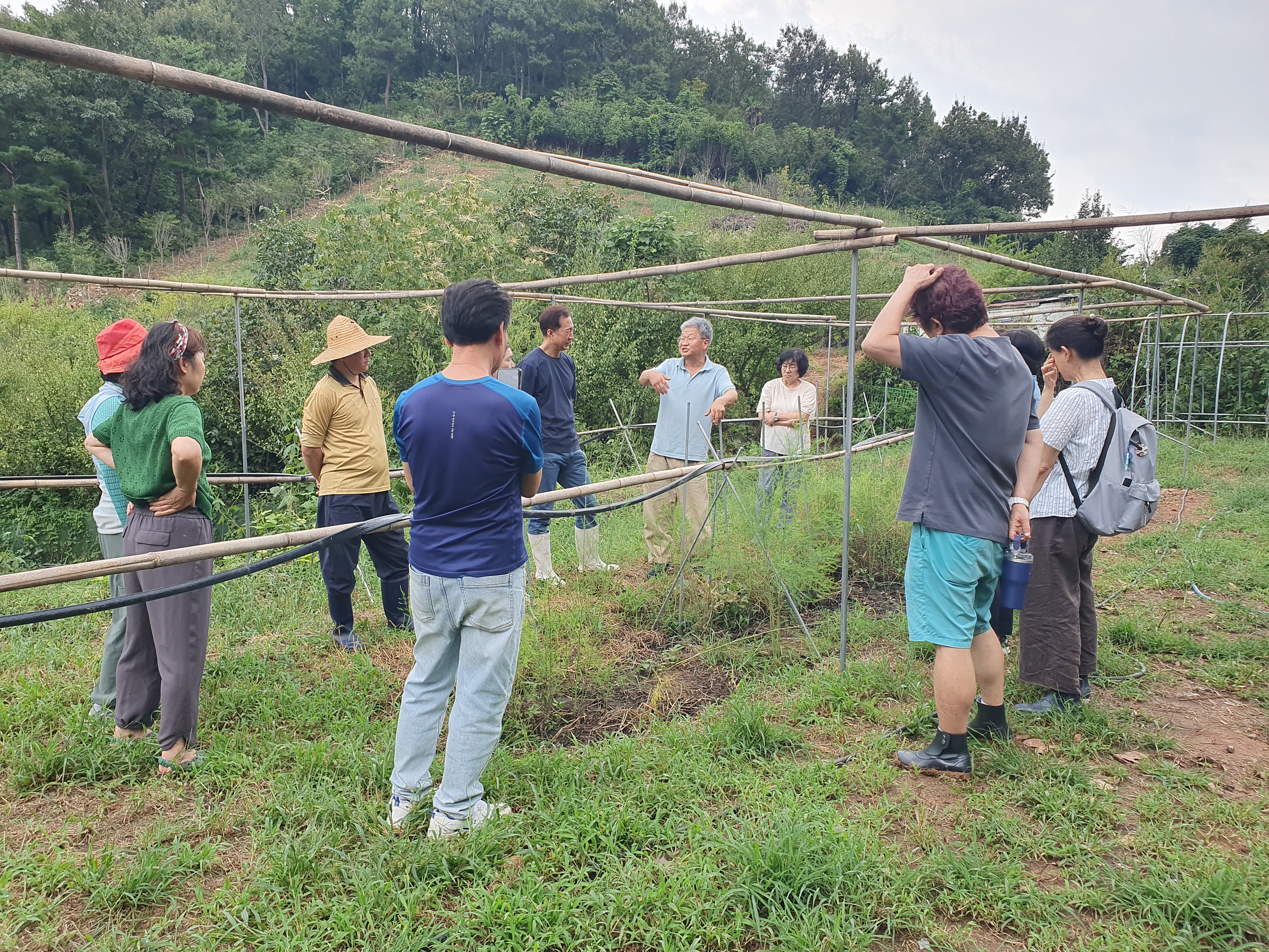 힐링존 활동 사진 5