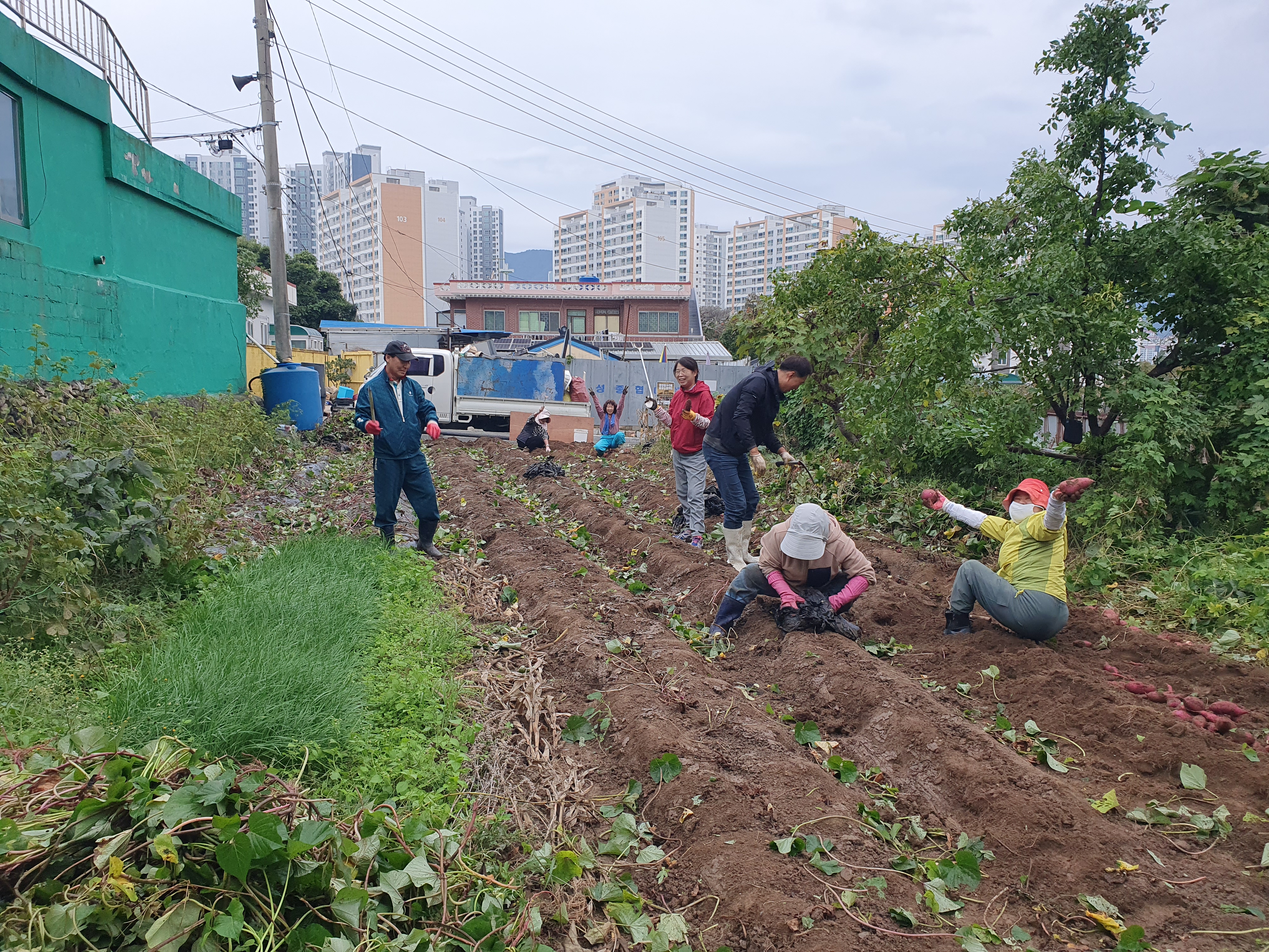 힐링존 활동 사진 7